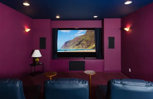 Concealed Audio and Video